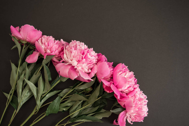 Peonies pink buds and petals on a black background space for text - Foto, Bild