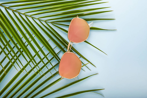 Стильные солнечные очки с пальмовыми листьями на цветном фоне
 - Фото, изображение
