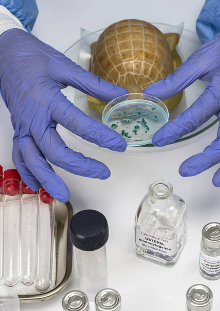専門家は、研究室でリステリア菌によって汚染されたぬいぐるみを分析します, スペインで引き起こされる芽 - 写真・画像