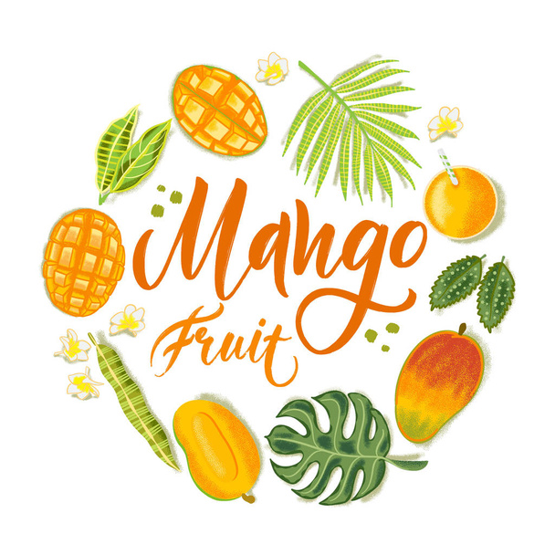 Hand drawn textured mango, flowers and leafs on white background.  Colorful vector flat lay food illustration for healthy food cafe, restaurant, fruits and grocery market - Vektori, kuva