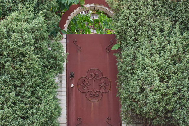 puerta de metal marrón y valla de ladrillo cubierto de vegetación verde de coníferas
 - Foto, Imagen