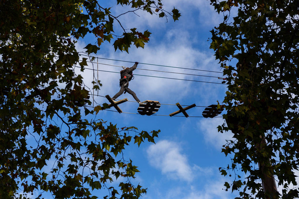 Wandelen over een boomtop cursus  - Foto, afbeelding