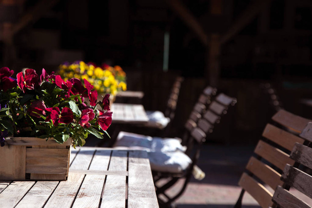 houten mand met bloemen van verschillende kleuren op een tafel in een straat café. Tafels en stoelen gemaakt van gerijpt hout in een café op een zonnige dag. Framboos viooltjes - Foto, afbeelding