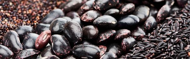 panoramische foto van geassorteerde zwarte bonen, rijst en quinoa - Foto, afbeelding