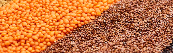 tiro panorâmico de grãos de trigo mourisco torrado e lentilha vermelha
 - Foto, Imagem
