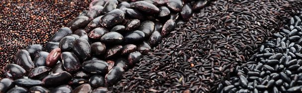 panoramische foto van geassorteerde zwarte bonen, quinoa en rijst - Foto, afbeelding