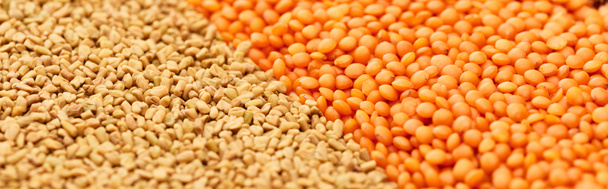 tiro panorâmico de cereais perto de lentilha vermelha
 - Foto, Imagem