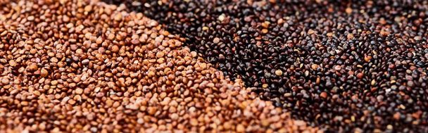 panoramatický záběr pečené pohanské a černé quinoa - Fotografie, Obrázek