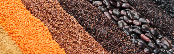 plano panorámico de frijoles negros, arroz, quinua, trigo sarraceno y lenteja roja
 - Foto, Imagen