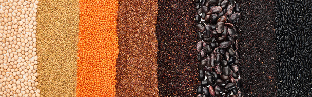 plano panorámico de frijoles negros, arroz, quinua, lenteja roja, trigo sarraceno y garbanzo
 - Foto, Imagen