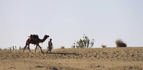 Kamelreiten, Jaisalmer Wüste, Rajastan, Indien, 5. Januar, - Foto, Bild