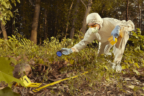 Older human remains found in forest - collecting of skeleton by police - Fotoğraf, Görsel