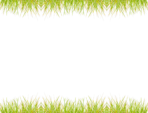 Zelený rám na trávu nad bílou - Fotografie, Obrázek