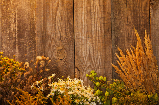 pohled na divoké květiny a byliny na dřevěné ploše  - Fotografie, Obrázek