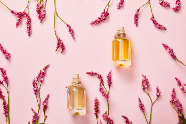 top view of filled bottles near wildflowers on pink background with copy space - Foto, afbeelding
