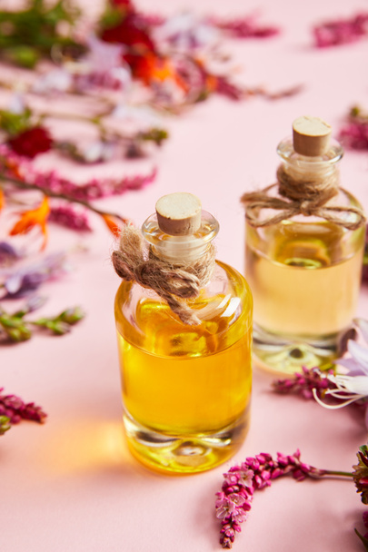 zamknąć widok butelek z olejem w pobliżu świeżych dzikich kwiatów na różowym tle - Zdjęcie, obraz