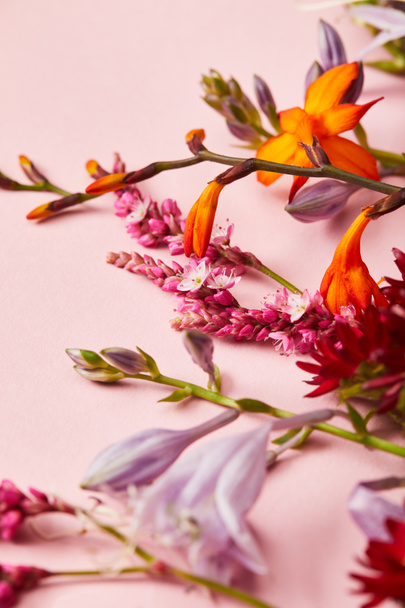 close up view of fresh wildflowers on pink background - Photo, Image
