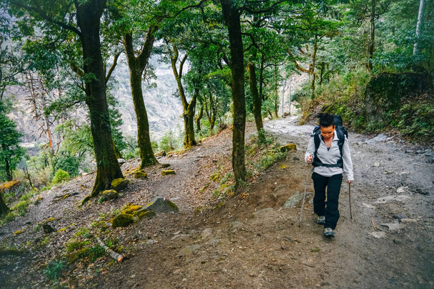 Hiking in Himalaya. Woman Traveler in the Mountains - Foto, afbeelding