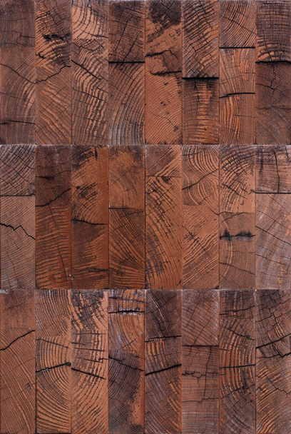 Cut ends of logs texture or background - Foto, Imagem