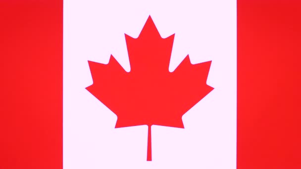 Ruka, která dává palcem na vlajku Kanady, gesto pro schválení s prostorem pro kopírování. Pozitivní výrok, koncept zhodnocení pozadí nápisu v kanadském státě, nesympatální symbol s prázdným polem - Záběry, video