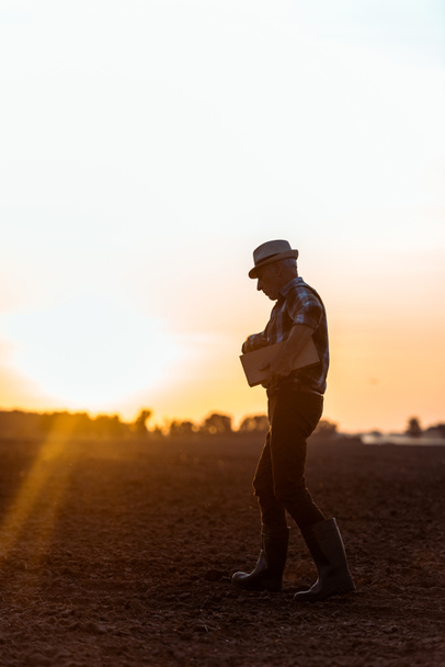 Seitenansicht eines Bauern mit Strohhut, der eine Holzkiste hält, während er bei Sonnenuntergang geht  - Foto, Bild