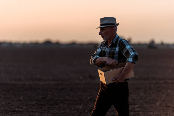self-employed farmer holding box in field  - Valokuva, kuva