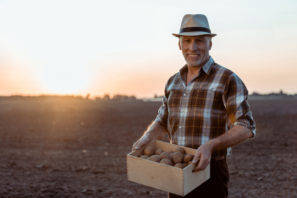 cheerful self-employed farmer holding box with organic potatoes  - 写真・画像