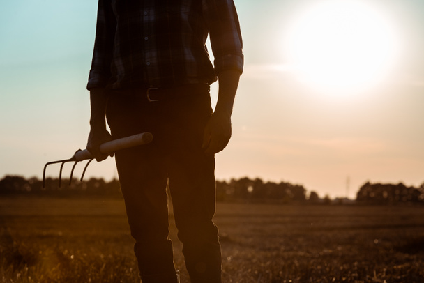 cropped view of self-employed man holding rake in wheat field  - Photo, Image