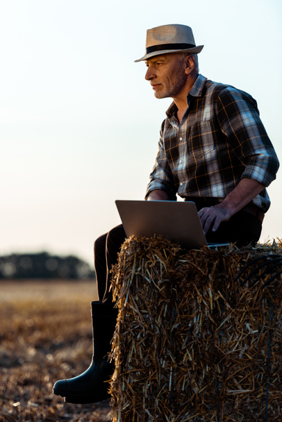 干し草のベールの上に座って、ラップトップを使用して自営業のシニア男性  - 写真・画像