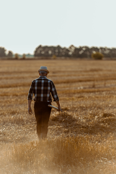 πίσω όψη του ανώτερου άνδρα σε ψάθινο καπέλο κρατώντας τσουγκράνα ενώ περπατώντας χωράφι σιταριού  - Φωτογραφία, εικόνα