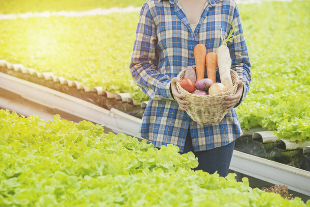 Hand of Asian farmer  woman hand hold basket of fresh colorful organic vegetable in greenhouse hydroponic organic farm - Foto, Bild