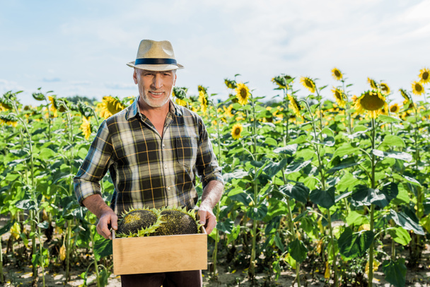 vrolijke zelfstandige man Holding doos met zonnebloemen  - Foto, afbeelding