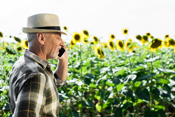 gelukkige zelfstandige Senior man praten op smartphone in de buurt van zonnebloemen  - Foto, afbeelding