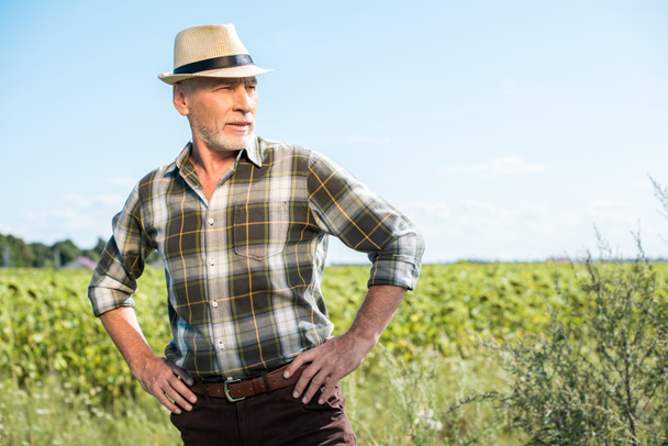 Landwirt mit Strohhut steht mit den Händen auf Hüften im Feld  - Foto, Bild