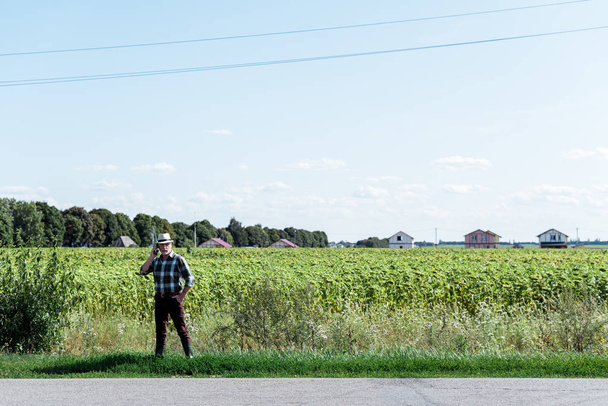 bearded self-employed farmer talking on smartphone in field - Photo, Image