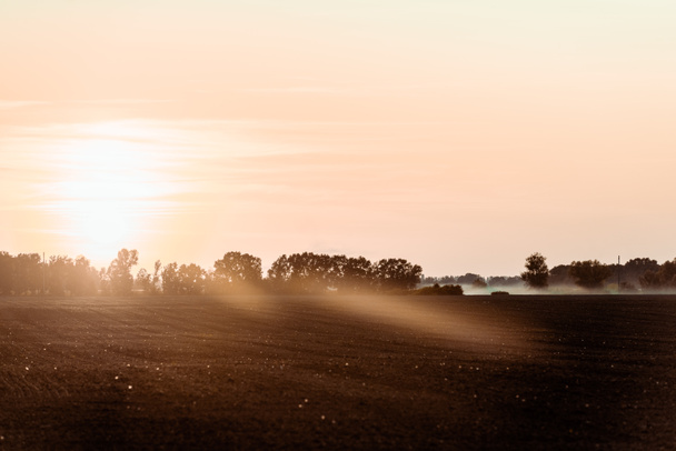 sunlight on field near trees and sky in evening  - Fotografie, Obrázek