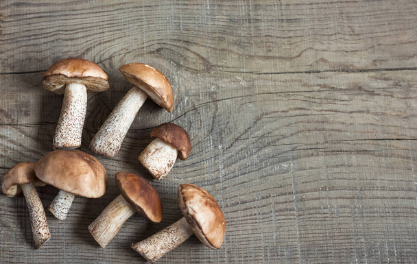 mushrooms lie on a wooden board with copy space - Photo, Image