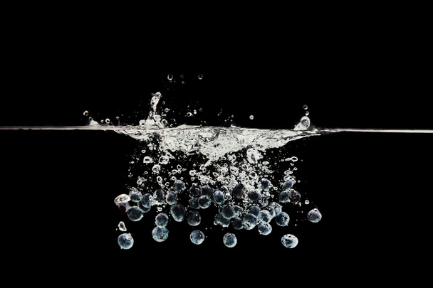 fresh blueberries falling in water with splash isolated on black - Photo, image