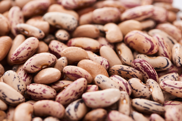 close up view of uncooked pinto beans - 写真・画像