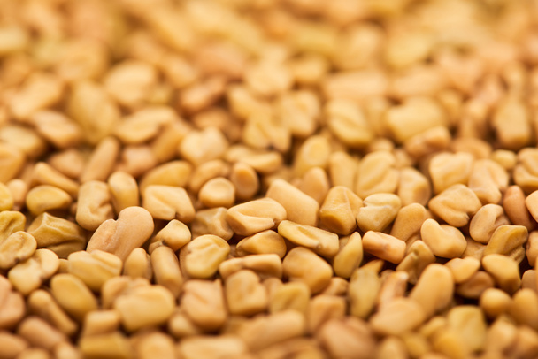 close up view of uncooked bulgur whole grains - Fotoğraf, Görsel