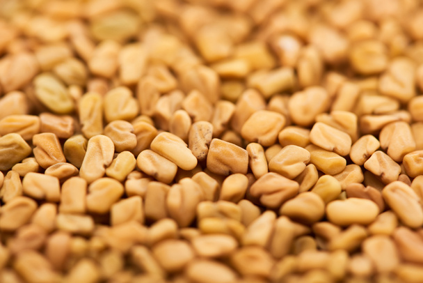 close up view of unprocessed bulgur grains - Φωτογραφία, εικόνα