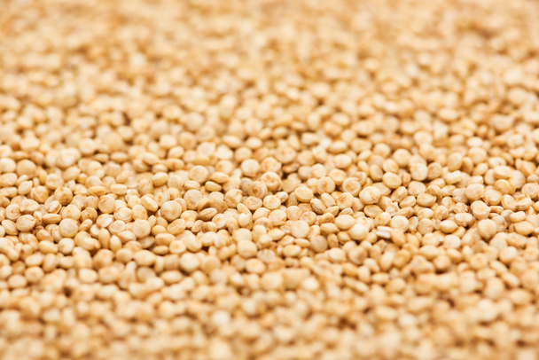 close up view of uncooked seeds of organic white quinoa  - Zdjęcie, obraz