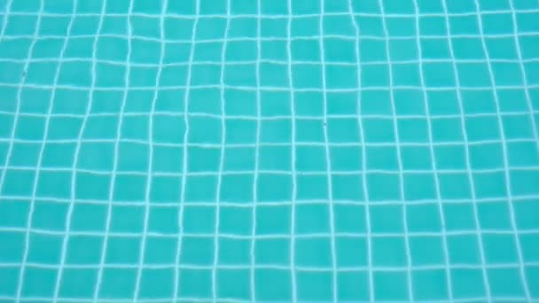 Vlčeje povrch plaveckého bazénu modrá voda reflektující - Záběry, video