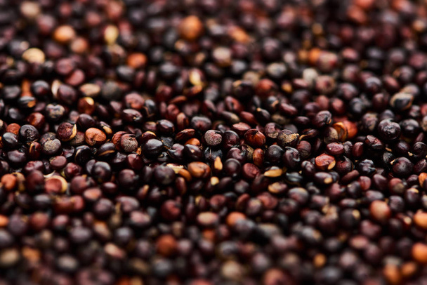 close up view of raw organic black quinoa - Valokuva, kuva