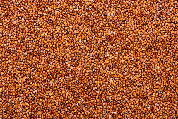 top view of uncooked organic red quinoa seeds - Foto, Imagem