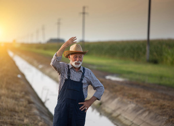 Зрілий фермер перед сільськогосподарським полем
 - Фото, зображення