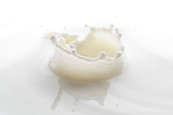 splash from falling drops of white milk on a white background - Photo, image