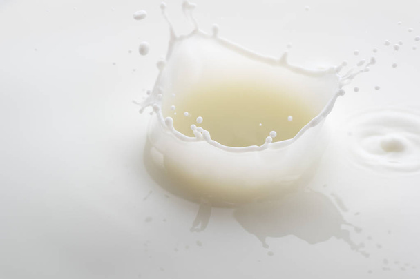 splash from falling drops of white milk on a white background - Photo, image