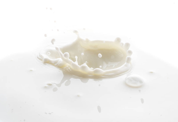 salpicaduras de gotas de leche blanca sobre un fondo blanco
 - Foto, imagen