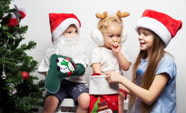 Children near Christmas tree are looking for gifts in Santas stocking. - Foto, Bild